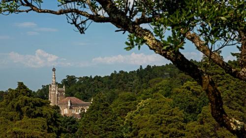 Bucaco Hotel | Palace Hotel do Bussaco