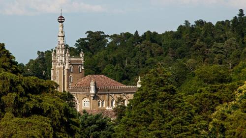 Bucaco Hotel | Palace Hotel do Bussaco