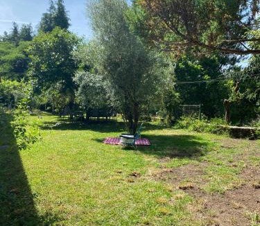 Paredes de Coura House | Paredes de Coura Villa