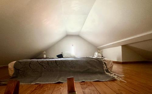 Merces Apartment | Parliament Ficus Studio