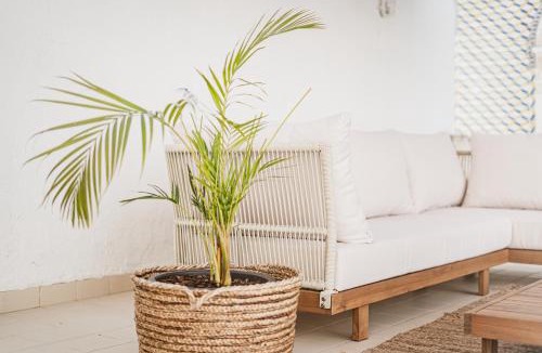 Marvila Apartment | Pateo do Mercado - Apartamento no Centro Histórico com Terraço