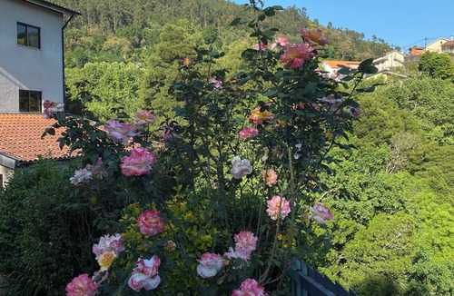 Amares House | Perfect Getaway in the Heart of Nature - Pet Friendly