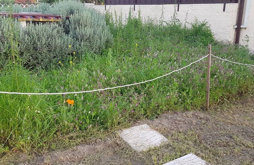 Lavos Apartment | Pet- and motorcyclist-friendly vacation apartment with a terrace in a quiet location