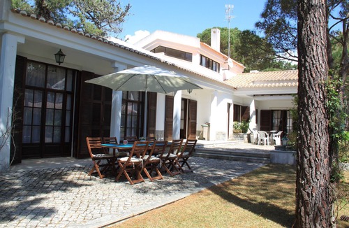 Colares House | PINEWOOD IN A NEAR THE SEA