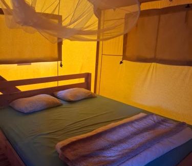 Apra Other | Poco Novo Lodges Loulé Algarve Glampingzelte Group