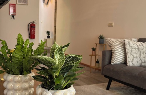 Campanha House | Porto Terrace House | Private Terrace | Free Wi-Fi | by Constanjo Homes