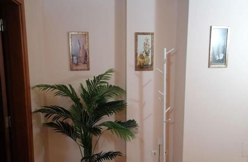 Praia de Mira Apartment | Praia de Mira - Apartamento T2