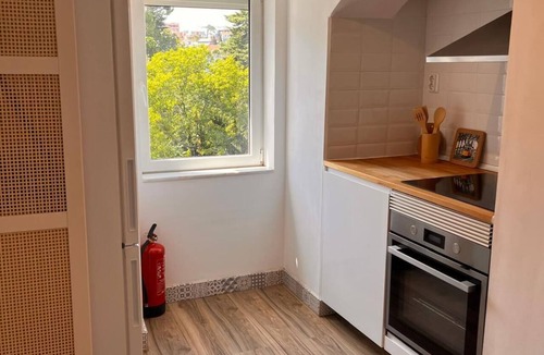 Santo Antonio Apartment | Principe Real Botanical Gardens