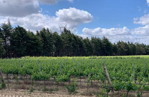 Santarem House | Quinta Centieira Scalab Wine