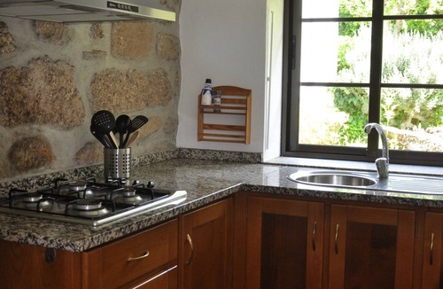 Balocas Cottage | Quinta da Encavalada - Casa Palmeira - relaxing vacations in central Portugal.