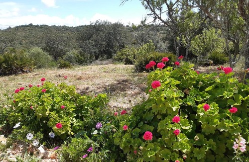 Sargacal Apartment | Quinta da Jolanda-Happy Family Farm