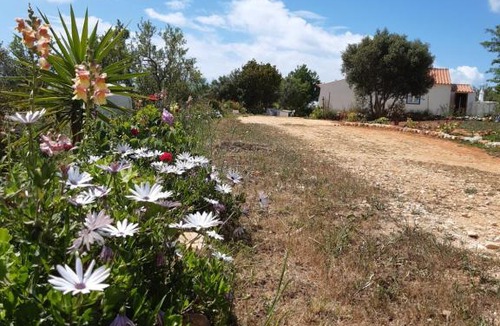 Sargacal Apartment | Quinta da Jolanda-Happy Family Farm