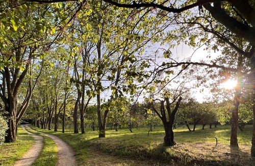 Nossa Senhora do Pranto House | Quinta da Mata de Baixo