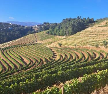 Peso da Regua House | Quinta da Portelada