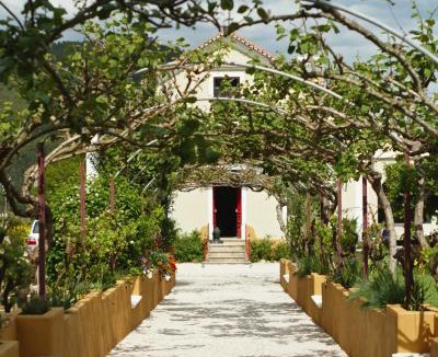 Nossa Senhora do Pranto Bed & Breakfast | Quinta das Riquezas