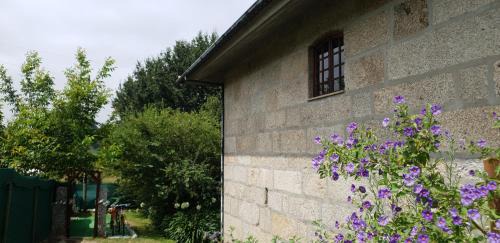 Sao Jorge de Selho House | Quinta de Carvalhal - Casa de Campo