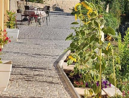 Vilar da Veiga House | Quinta De Gestacos