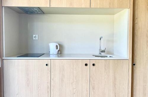 Nespereira Apartment | Quinta de Santa Ana, em Vizela