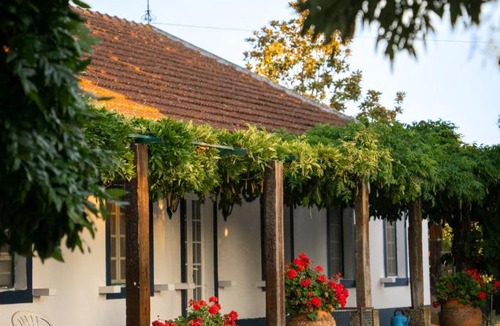 Alenquer House | Quinta do Archino 18