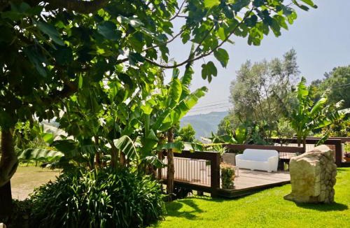 Cabeceiras de Basto House | Quinta do Botas
