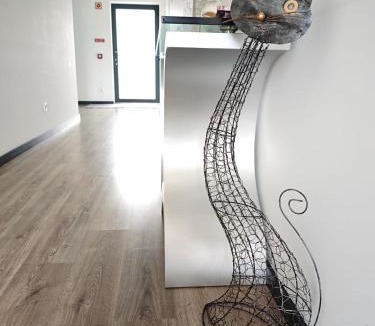 Cabeceiras de Basto House | Quinta do Botas