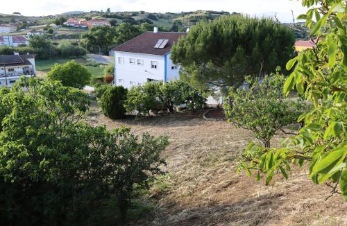 Sapataria House | Quinta do Carvalheiro