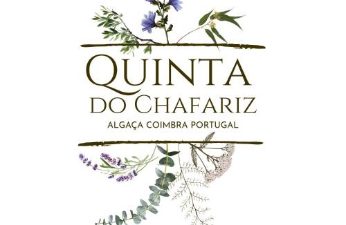 Vila Nova de Poiares House | Quinta do Chafariz