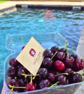 Covilha House | Quinta do Limite - Agroturismo