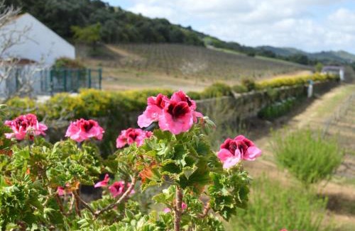 Setubal House | Quinta do Piloto