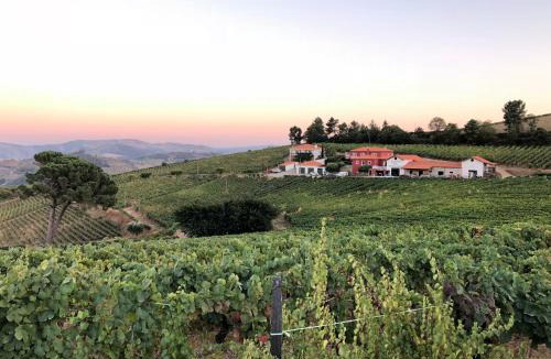 Gouvaes House | Quinta dos Espinheiros