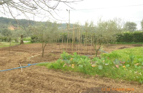 Areias Bed & Breakfast | Quinta dos Templários