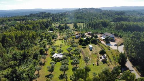 Serta Other | Quinta Lima
