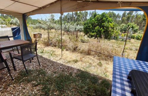 Serta Other | Quinta Lima