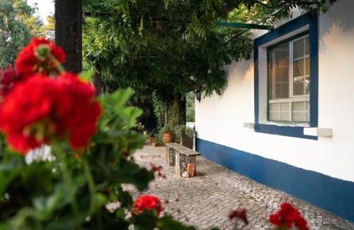 Alenquer House | Quinta Nova do Archino 18