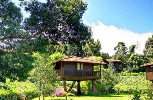 Santa Cruz Cabin | Quinta das Eiras Abrigo 6