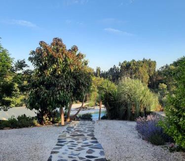 Serta Bed & Breakfast | Quinta Quatro Ventos