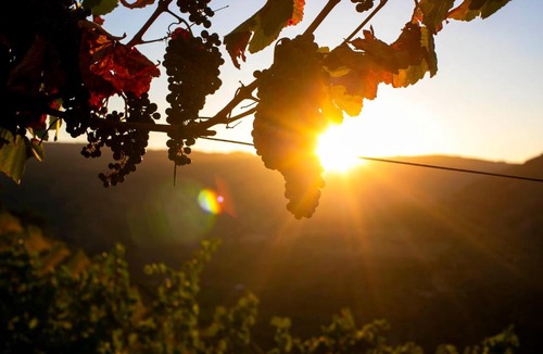 Armamar Bed & Breakfast | Quinta Vale de Lobos