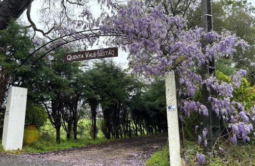 Coimbra Villa | Quinta Vale Leitão