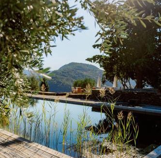 Cotas House | Quinta Vila Rachel - Winery