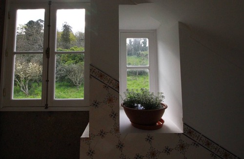 Ponte de Lima Apartment | RB Lima Apartment T2