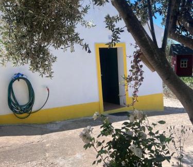 Sapeira House | Refúgio dos Sapinhos