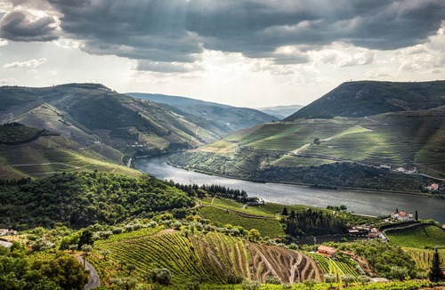 Armamar House | Romantic Villa and Vineyard with Infinity Pool over Douro Valley