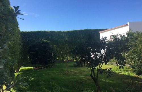 Ponta Delgada House | Rural Space & Spa