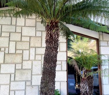 Sever do Vouga Bed & Breakfast | Santiago Family House