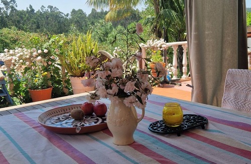 Caldas da Rainha Villa | Secluded traditional country house in extensive grounds, with private pool.