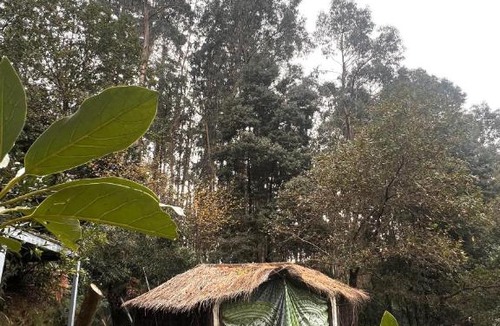Portela Susa House | Selfmade Yurt - NaturViana