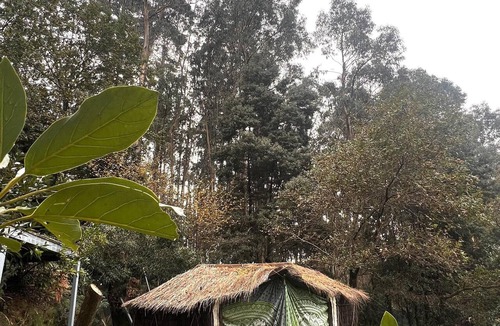 Portela Susa Cabin | Selfmade Yurt - NaturViana