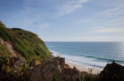 Azoia Other | Shanti Farm Meco
