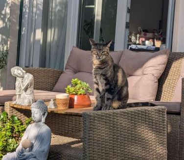 Nazare House | Silver Home