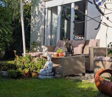 Nazare House | Silver Home